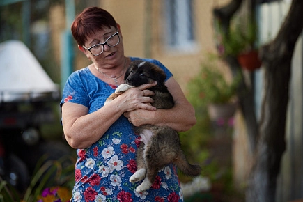 Второй сезон киноальманаха «Люди дела» получил четыре фестивальных награды